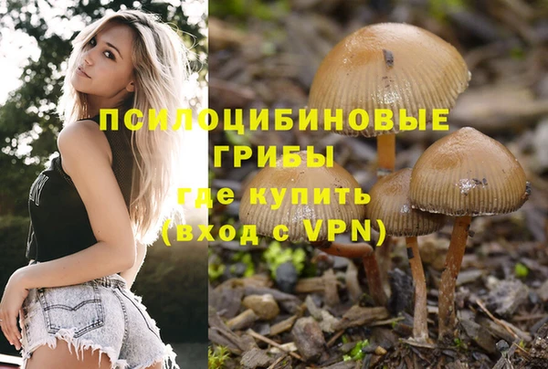 mix Алексин
