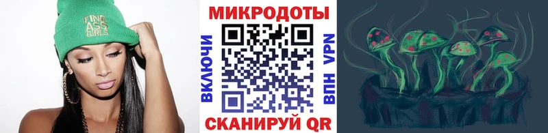 где продают наркотики  kraken зеркало  Псилоцибиновые грибы Magic Shrooms  Елизово 