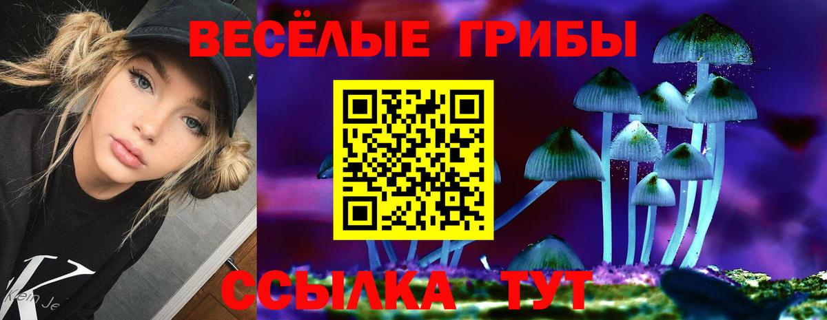 Псилоцибиновые грибы мицелий  Галлюциногенные грибы Psilocybine cubensis  наркотики  Елизово  Вход с VPN 
